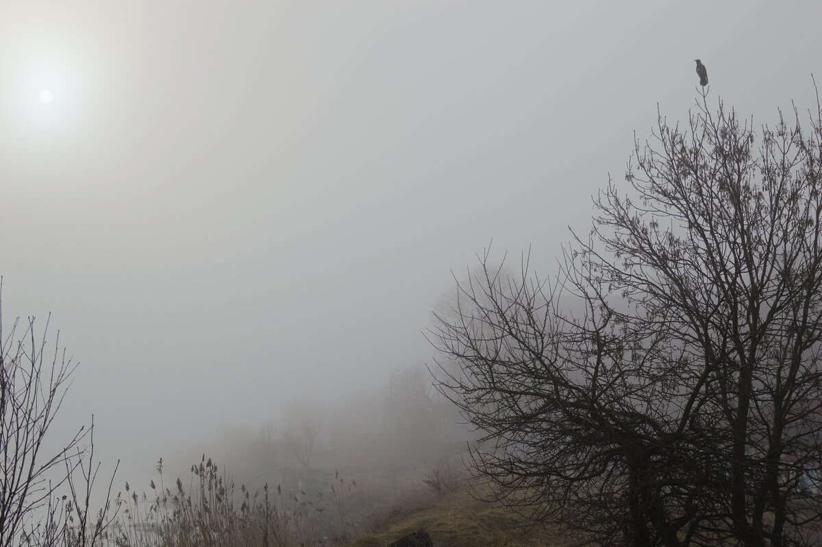 туман - Валерий 