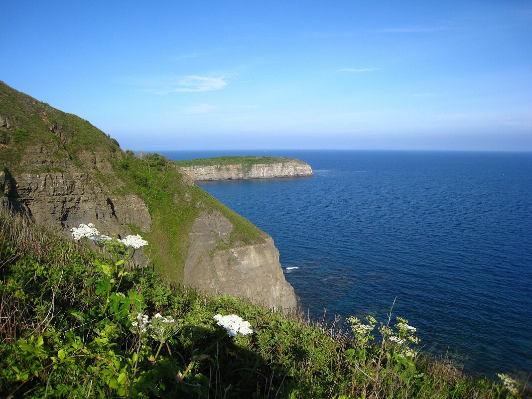 На острове Русский. - unix (Илья Утропов)