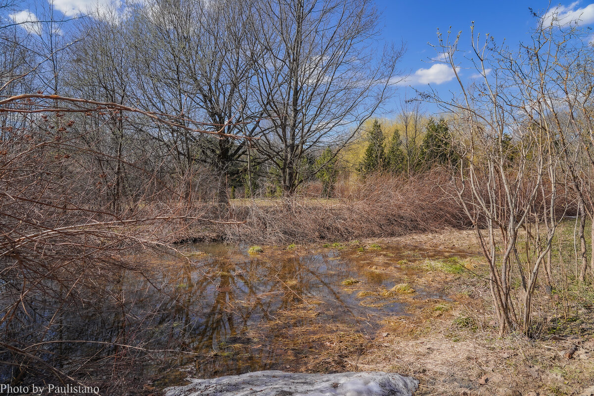 Палитра апреля... - Владимир Жданов