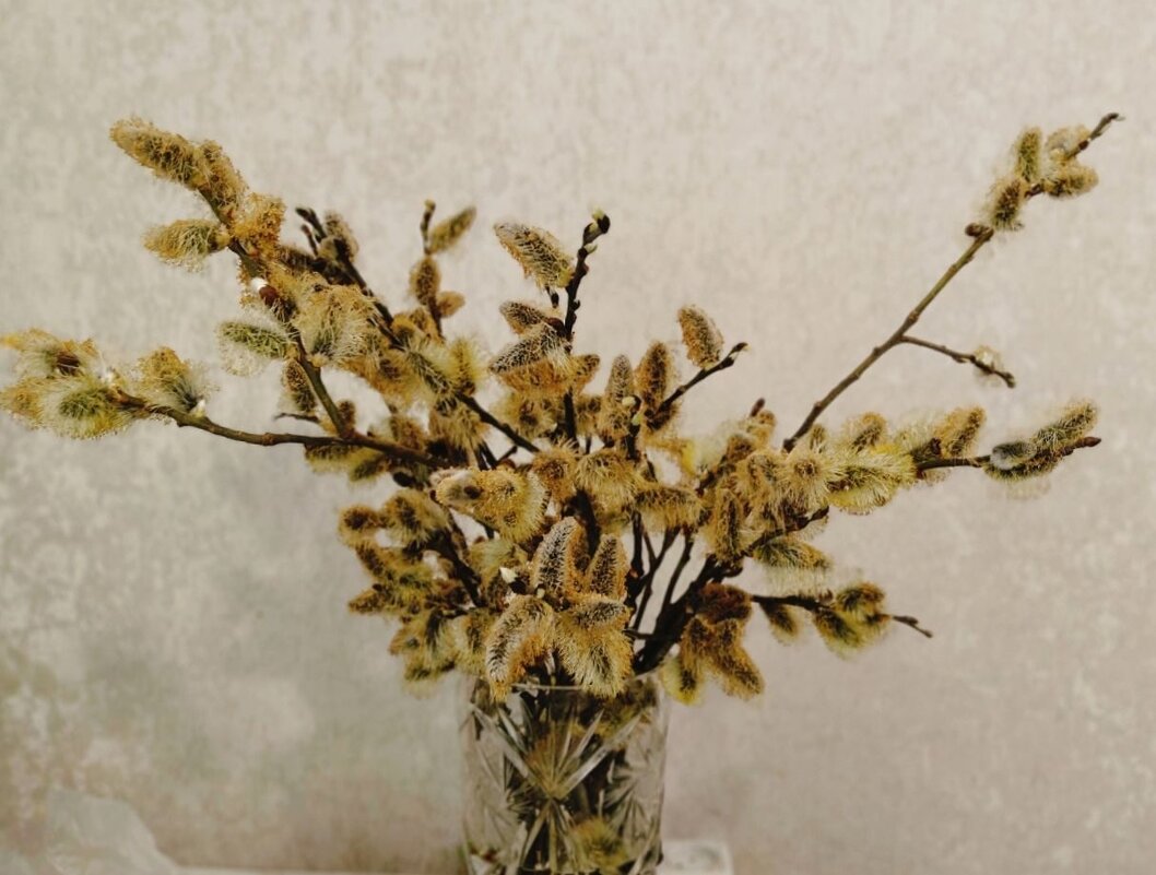 . С Внрбным вокресньем всех! - Елена Сухорученкова . С Внрбным вокресньем всех! - Елена Сухорученкова