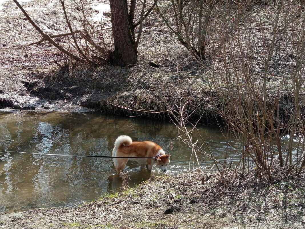 Ноги не промочи! - Андрей Лукьянов Ноги не промочи! - Андрей Лукьянов