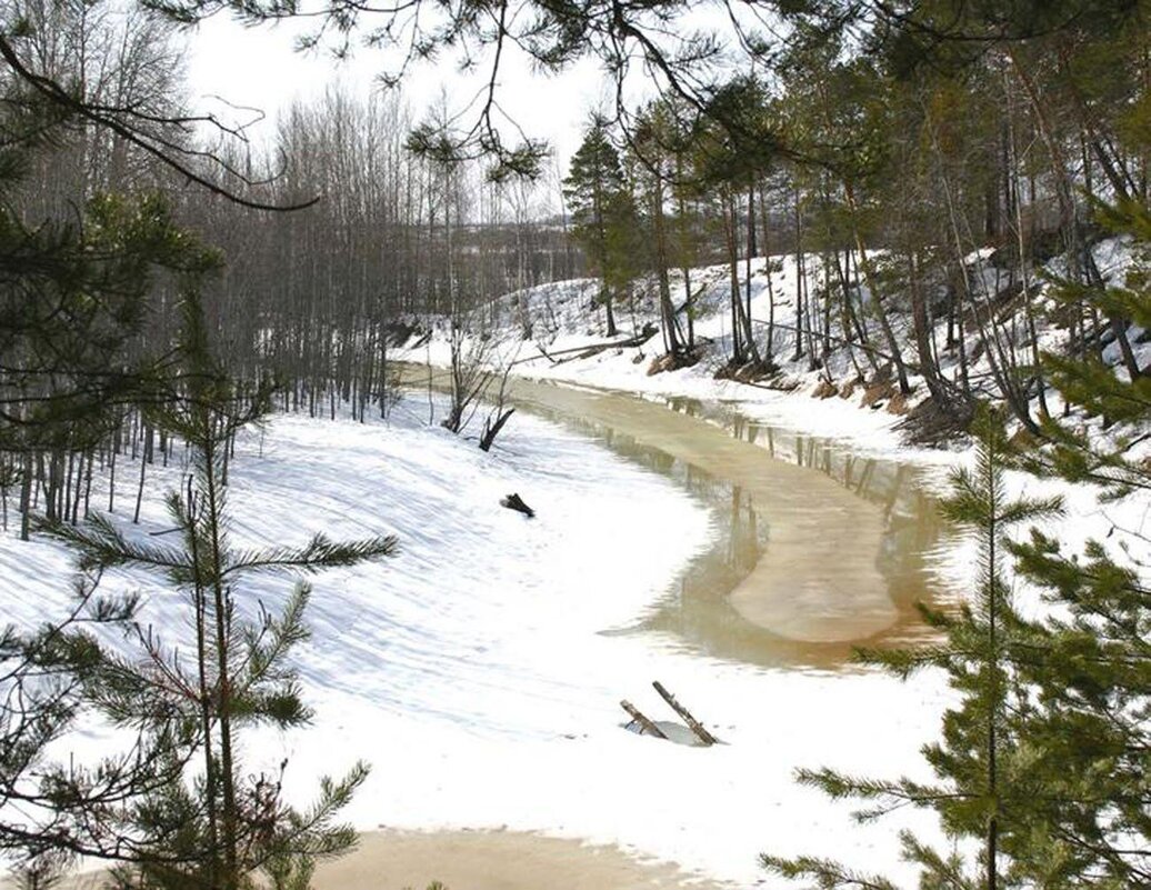 Март....Протока Коим пробуждается! - Владимир 