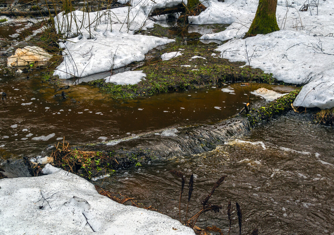 Журчит ручей - Сергей Цветков