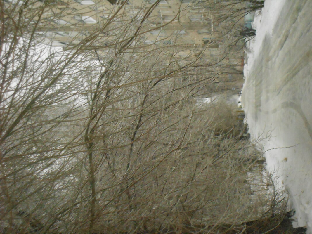 ледяная аллея - Елена Шаламова