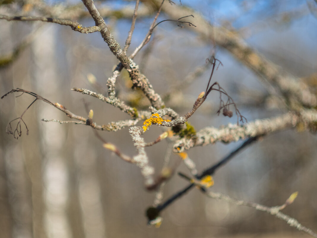 ___ - Yuriy V ___ - Yuriy V