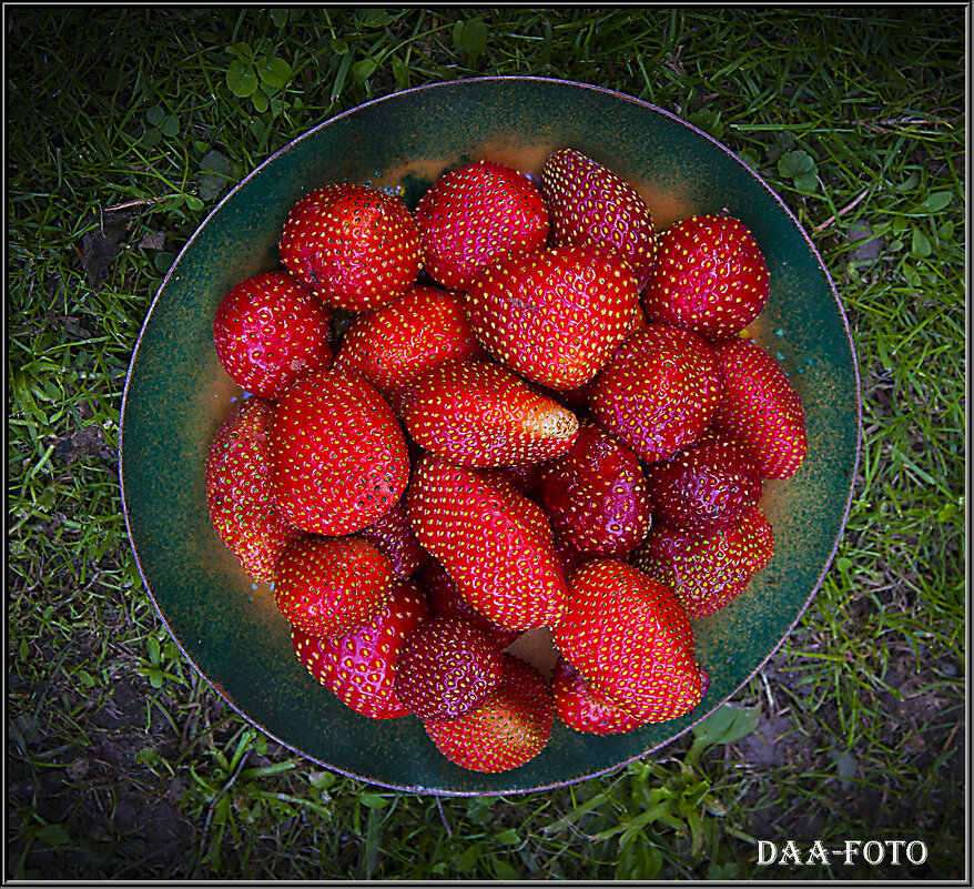 КЛУБНИЧКА. - Александр Дмитриев