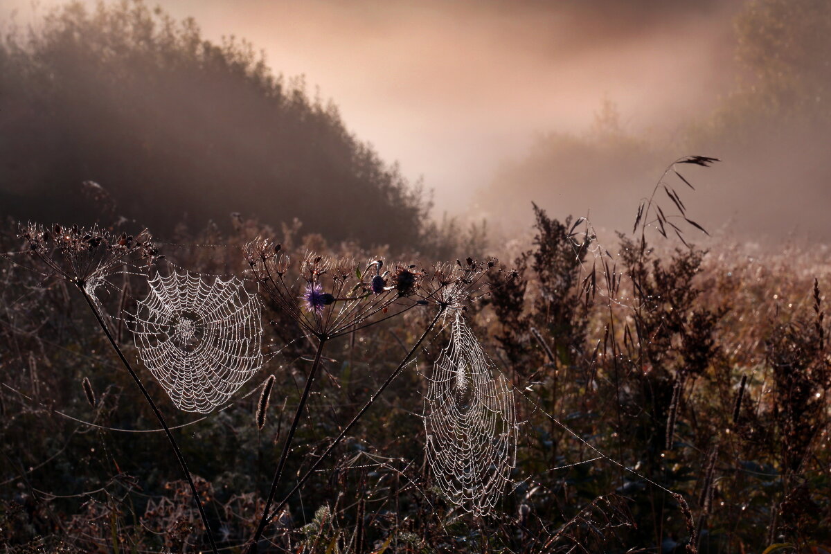 Царицыно 10 сентября - Михаил Бибичков Царицыно 10 сентября - Михаил Бибичков