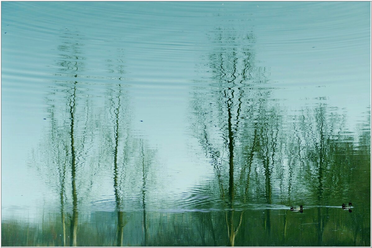 ОТРАЖЕНИЕ... - Elvira E. 