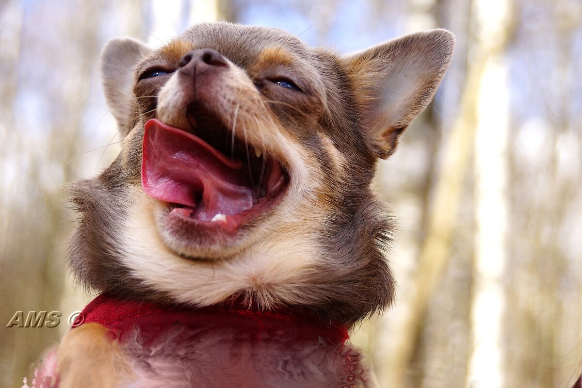 Ксюша - kolyeretka Ксюша - kolyeretka