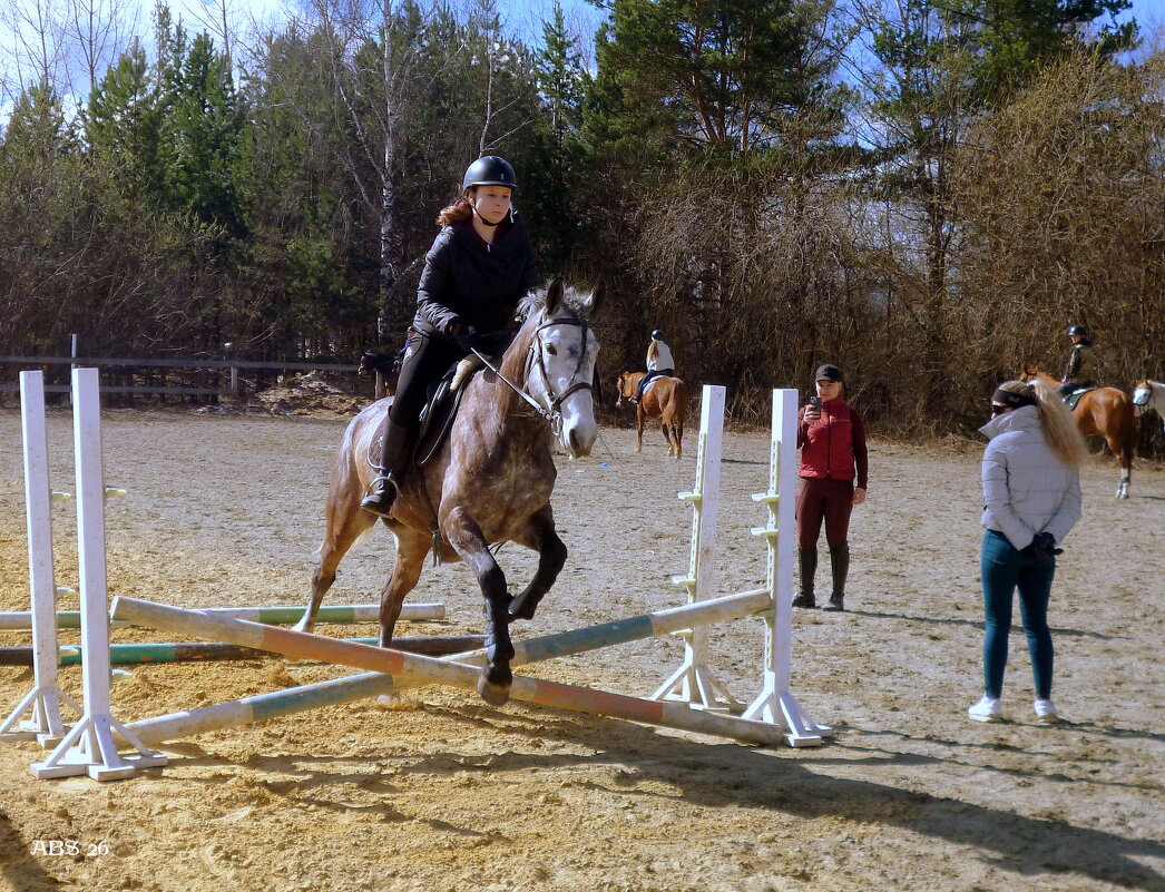 Взятие барьера... - Александр Шимохин