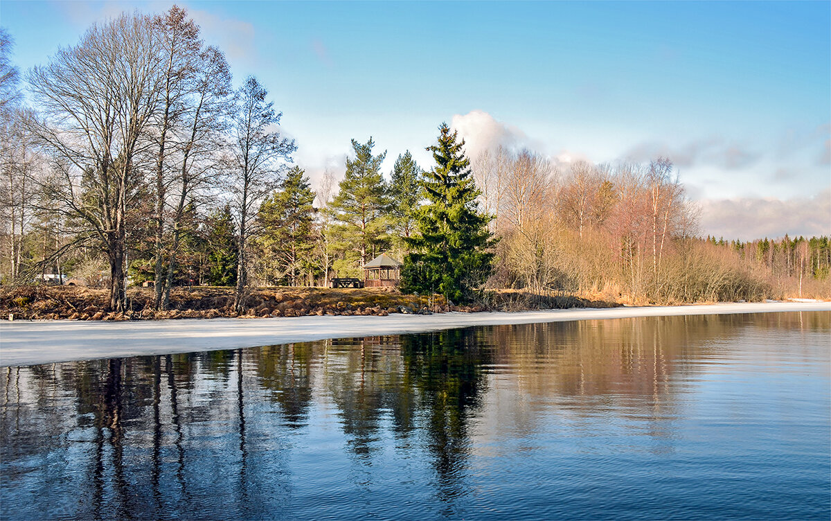 Расцвет природы впереди! - Alexandеr P