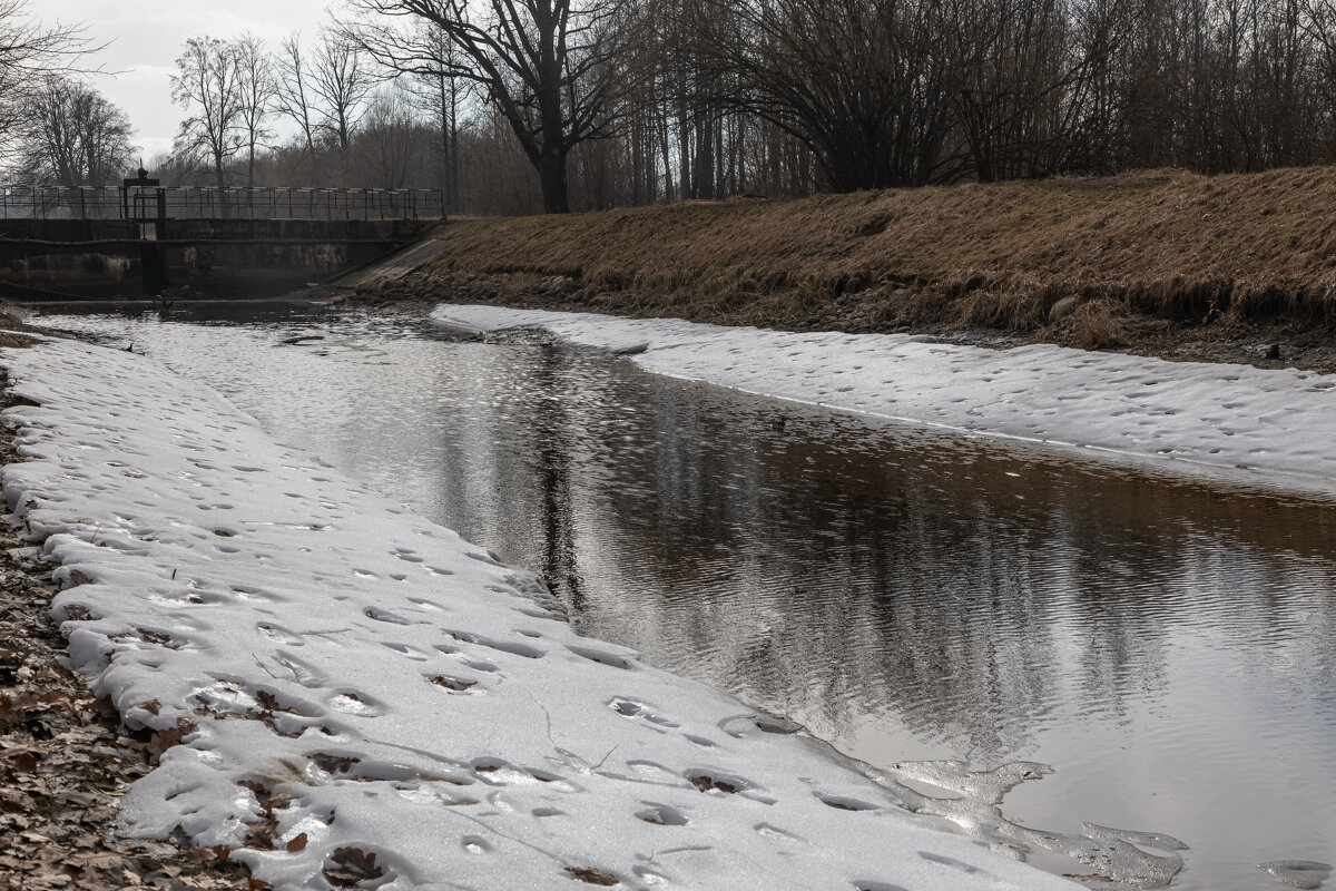 Каналы Петергофа - Татьяна Гузева
