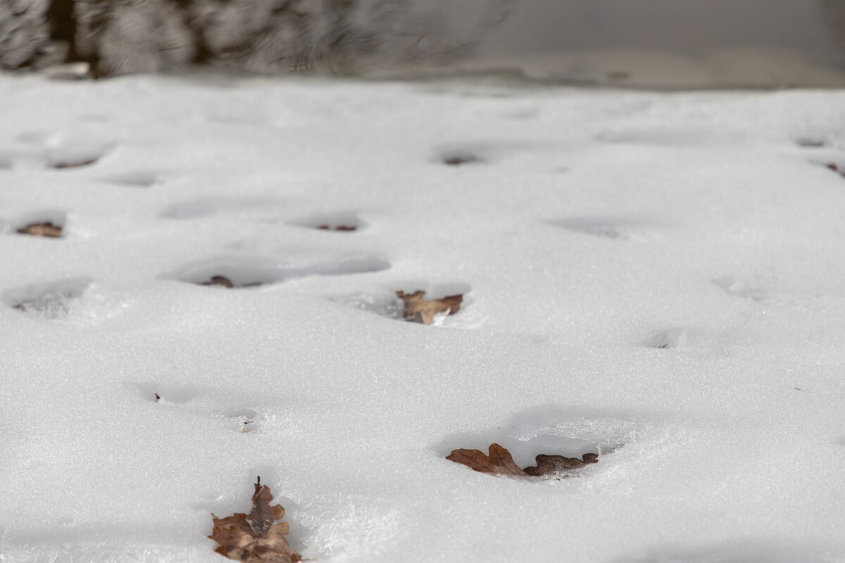 весна - Татьяна Гузева