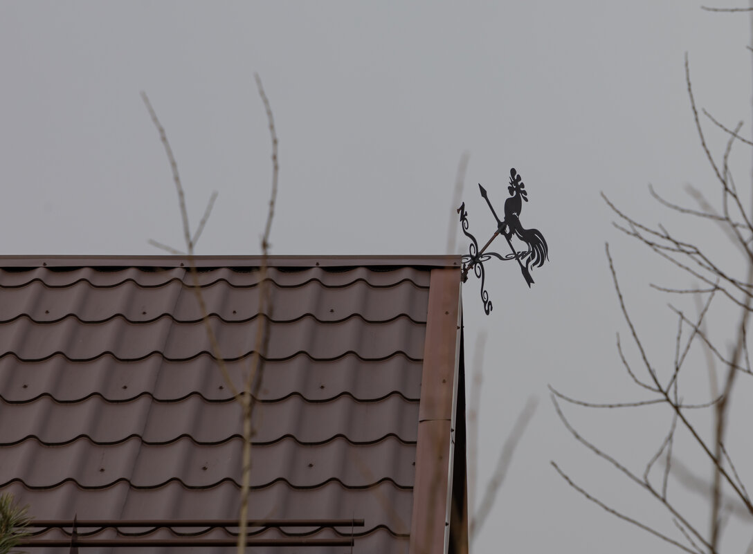 флюгер - Татьяна Гузева