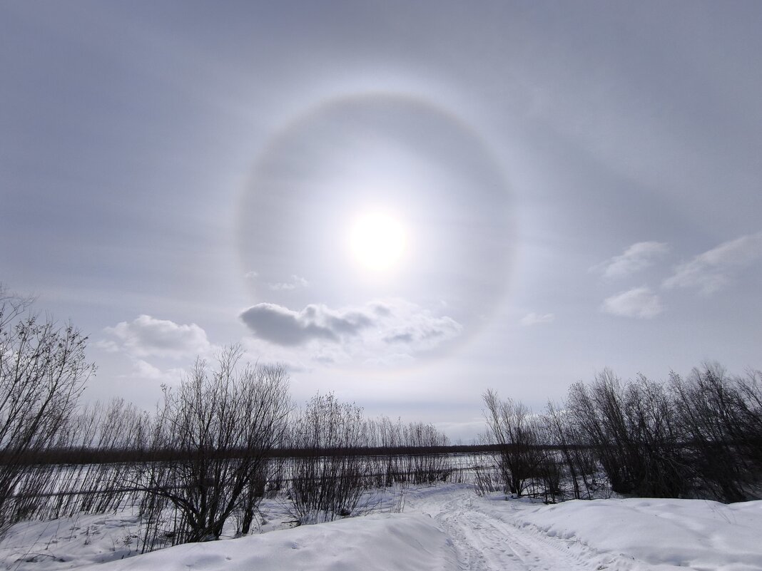 Весна - Anna Ivanova