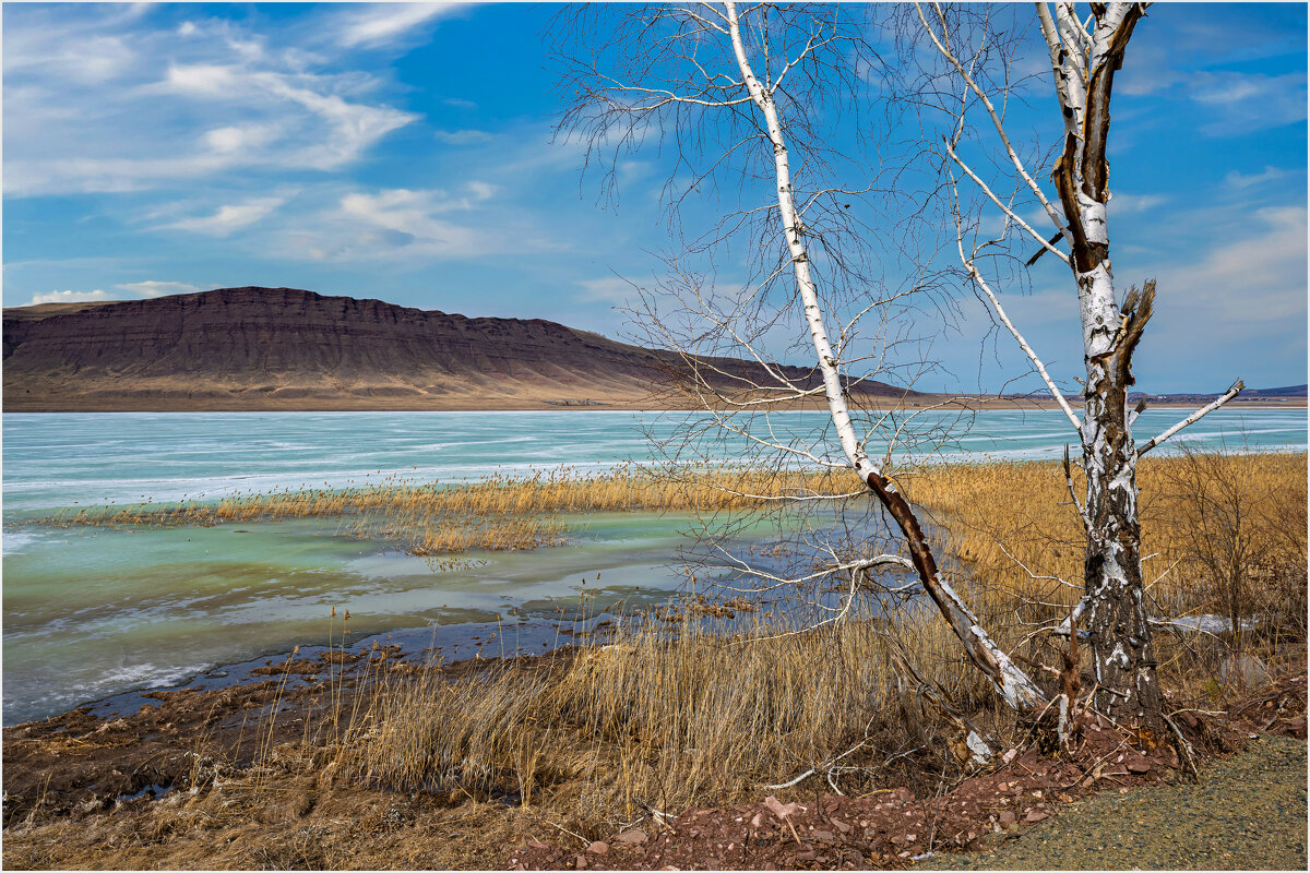 *** - Алексей Мезенцев