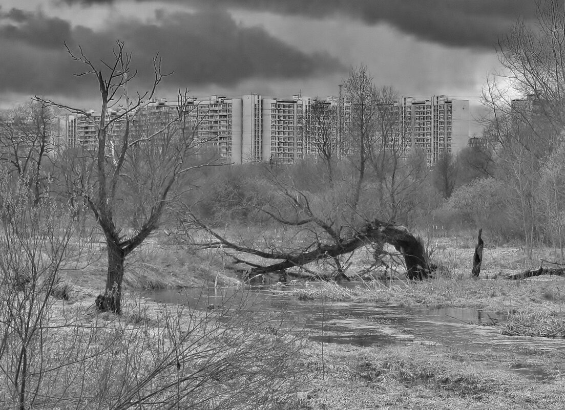 ... пойма реки Яузы весной... в ненастный день... - galalog galalog ... пойма реки Яузы весной... в ненастный день... - galalog galalog
