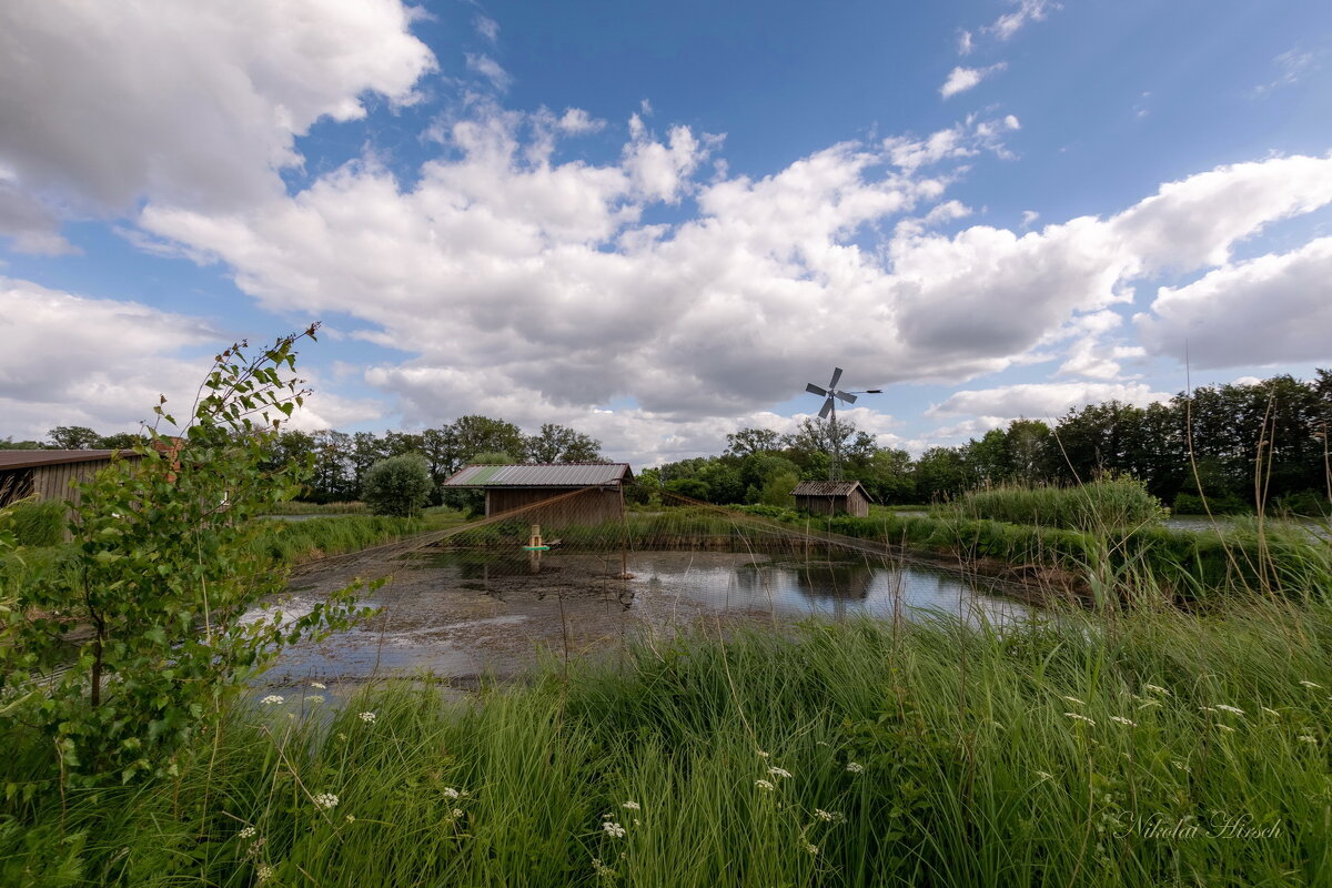 Почти лето... - Николай Гирш