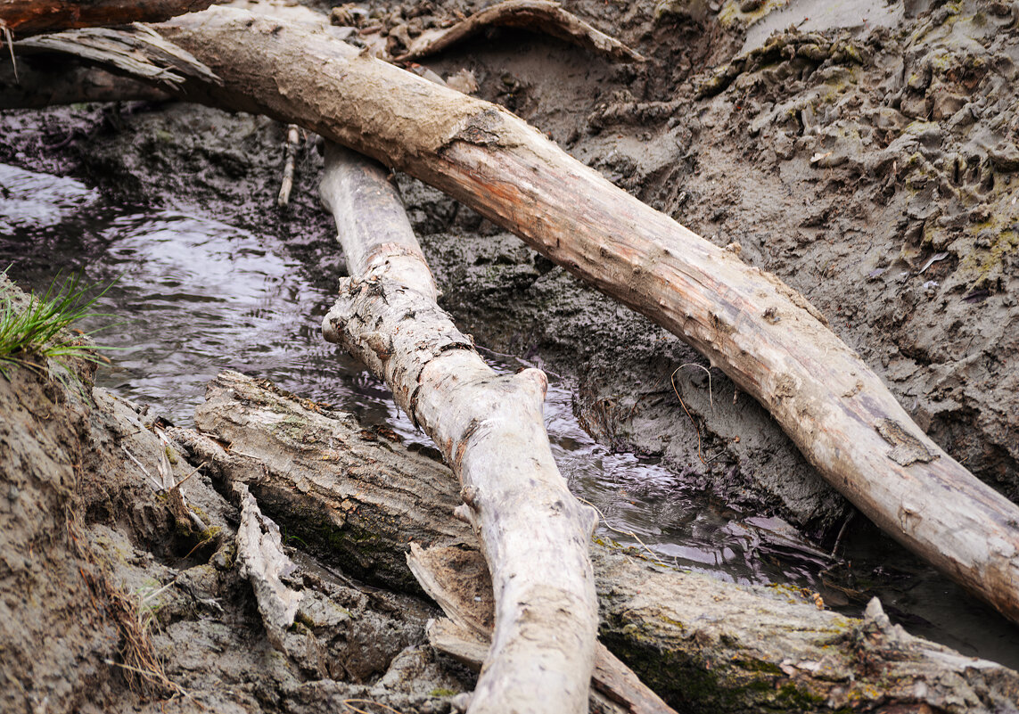 Бегут ручьи... - Игорь Протасов