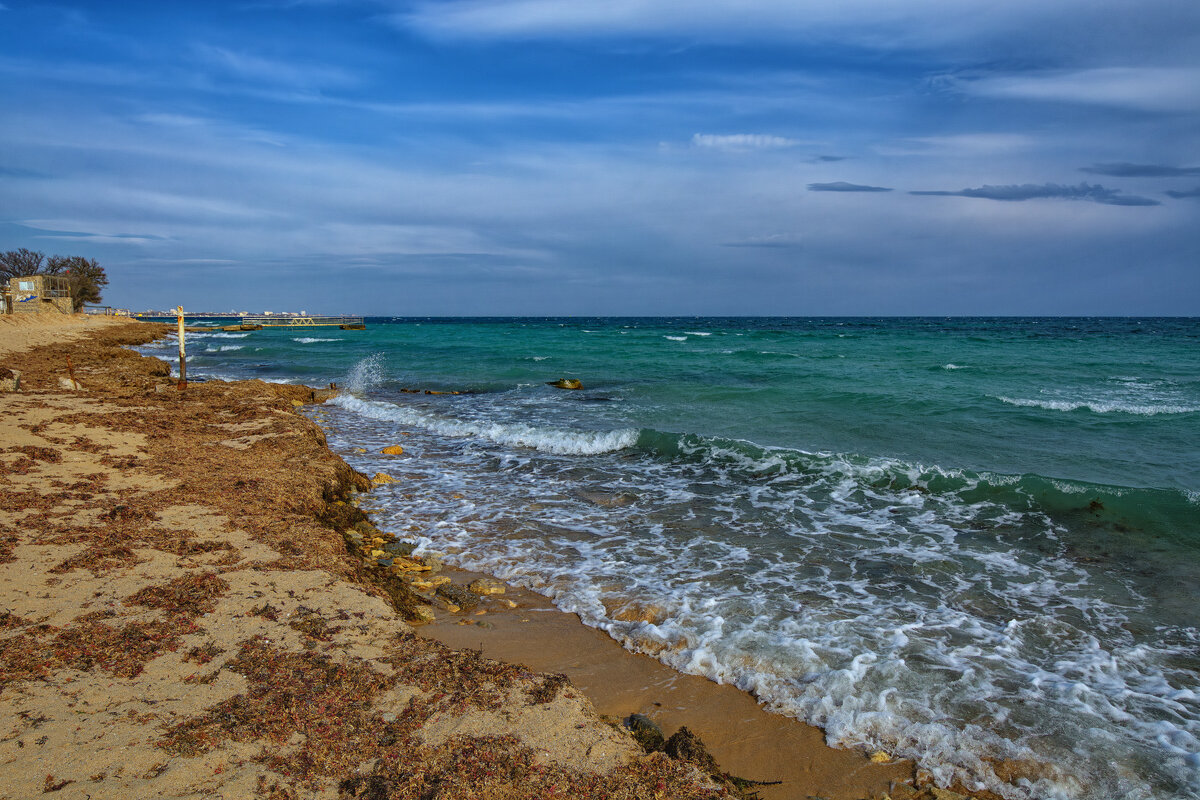 Чёрное в марте - Vladimir Чёрное в марте - Vladimir