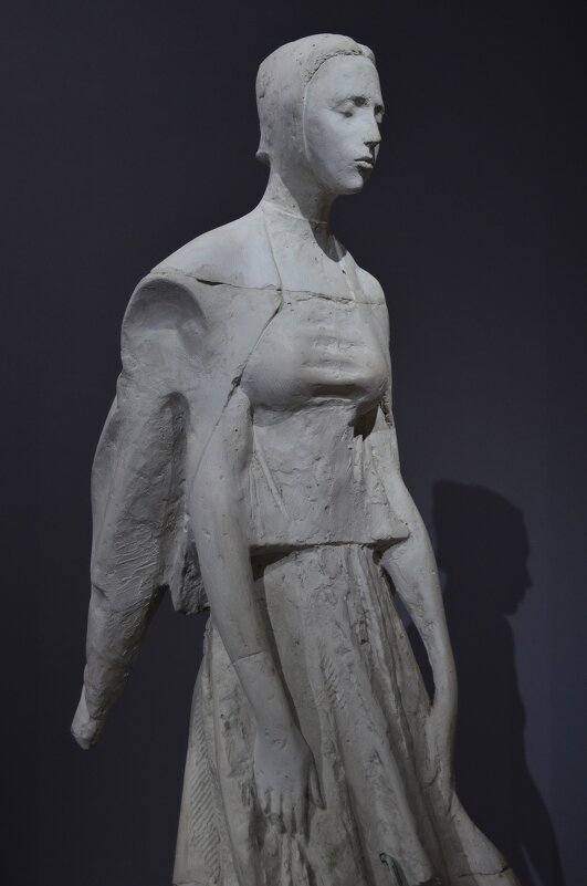 Она и её тень. - Наталья Вязигина