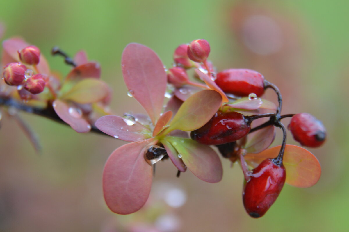 Прошлое и будущее... - Надежда Куркина 