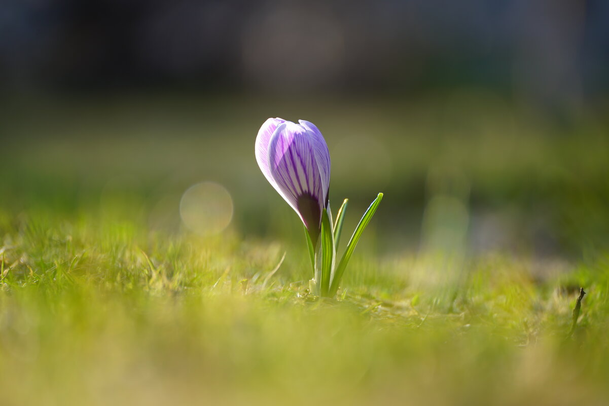 Пробуждение - Иван Литвинов