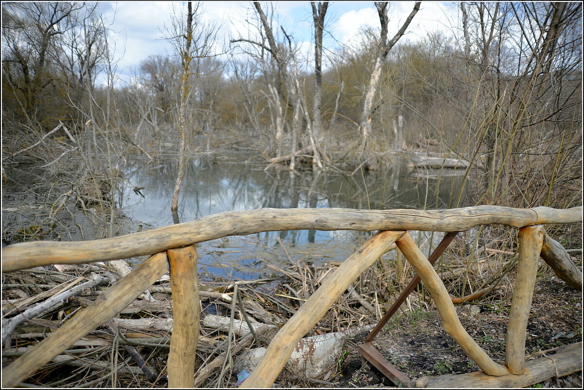 Бобровая плотина - Сеня Белгородский