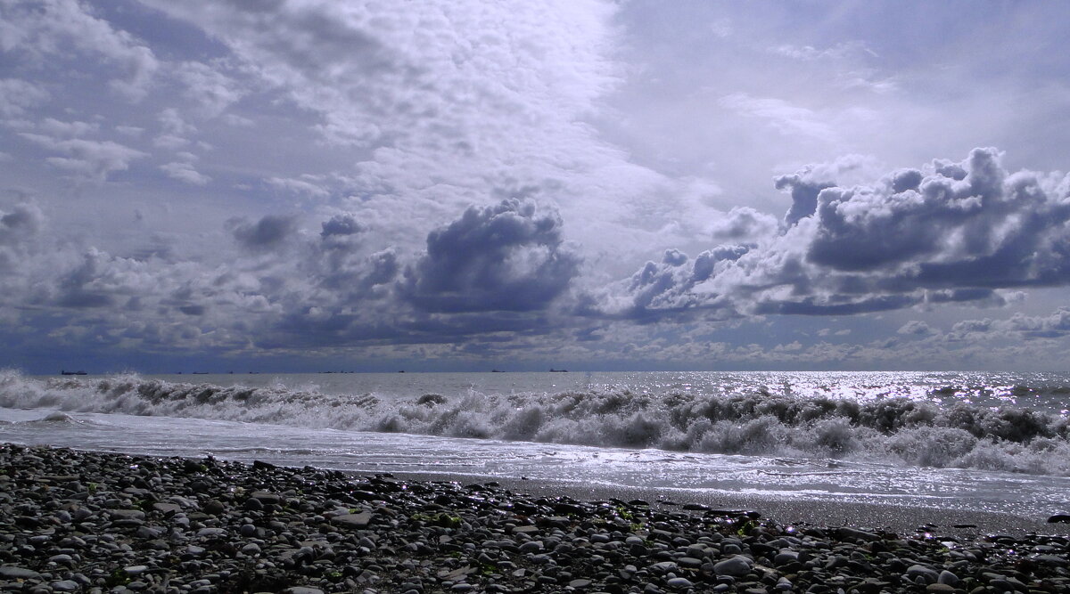 Барашки. - Марина Леонидовна