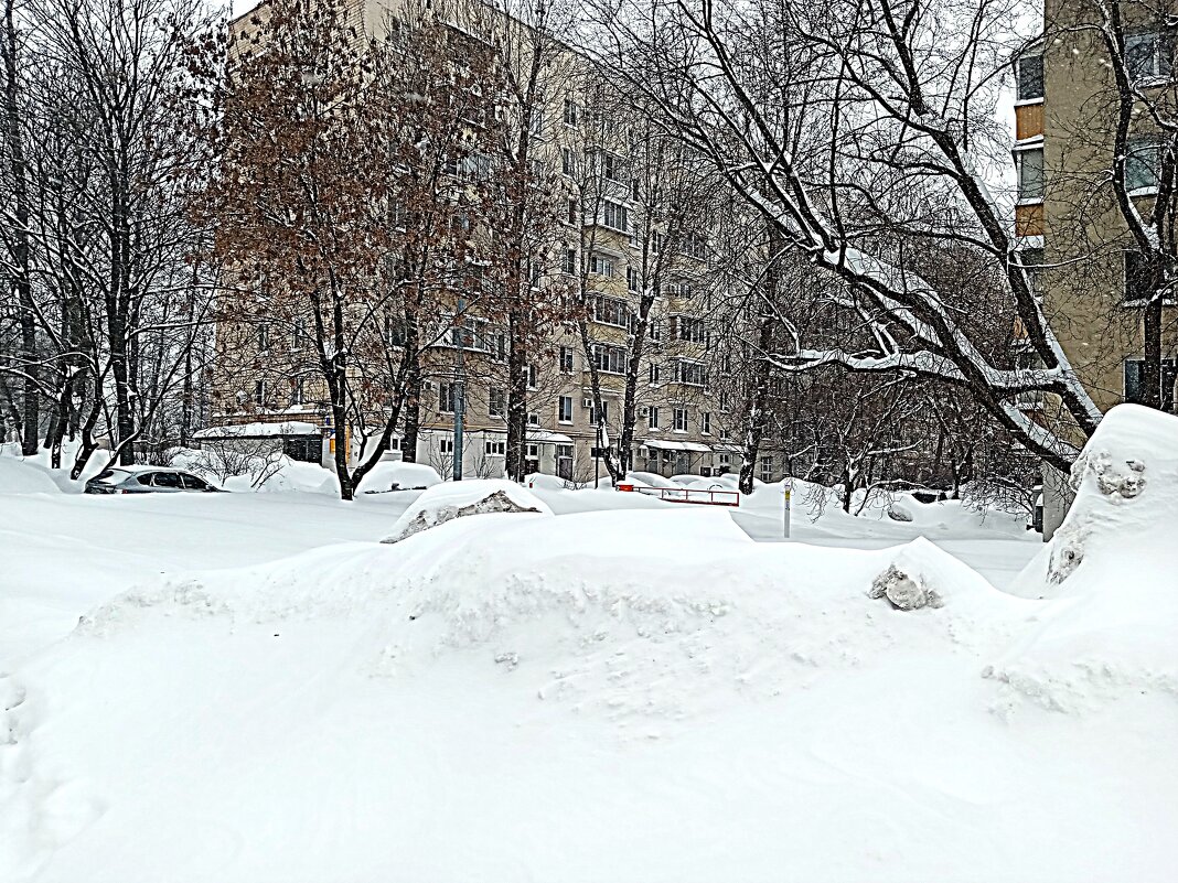 Зима. - Владимир Драгунский Зима. - Владимир Драгунский