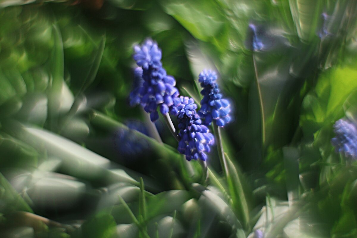 пробуждение - Николай 