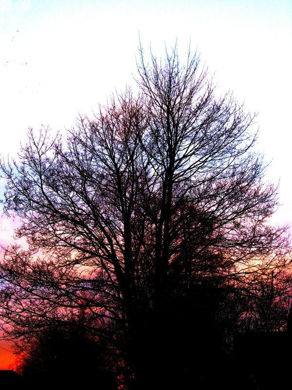 Вечерние краски - Людмила Смородинская