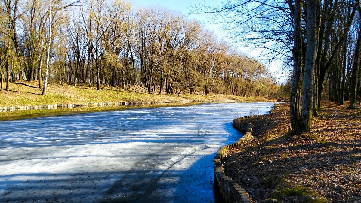 Весенний парк. - Милешкин Владимир Алексеевич 