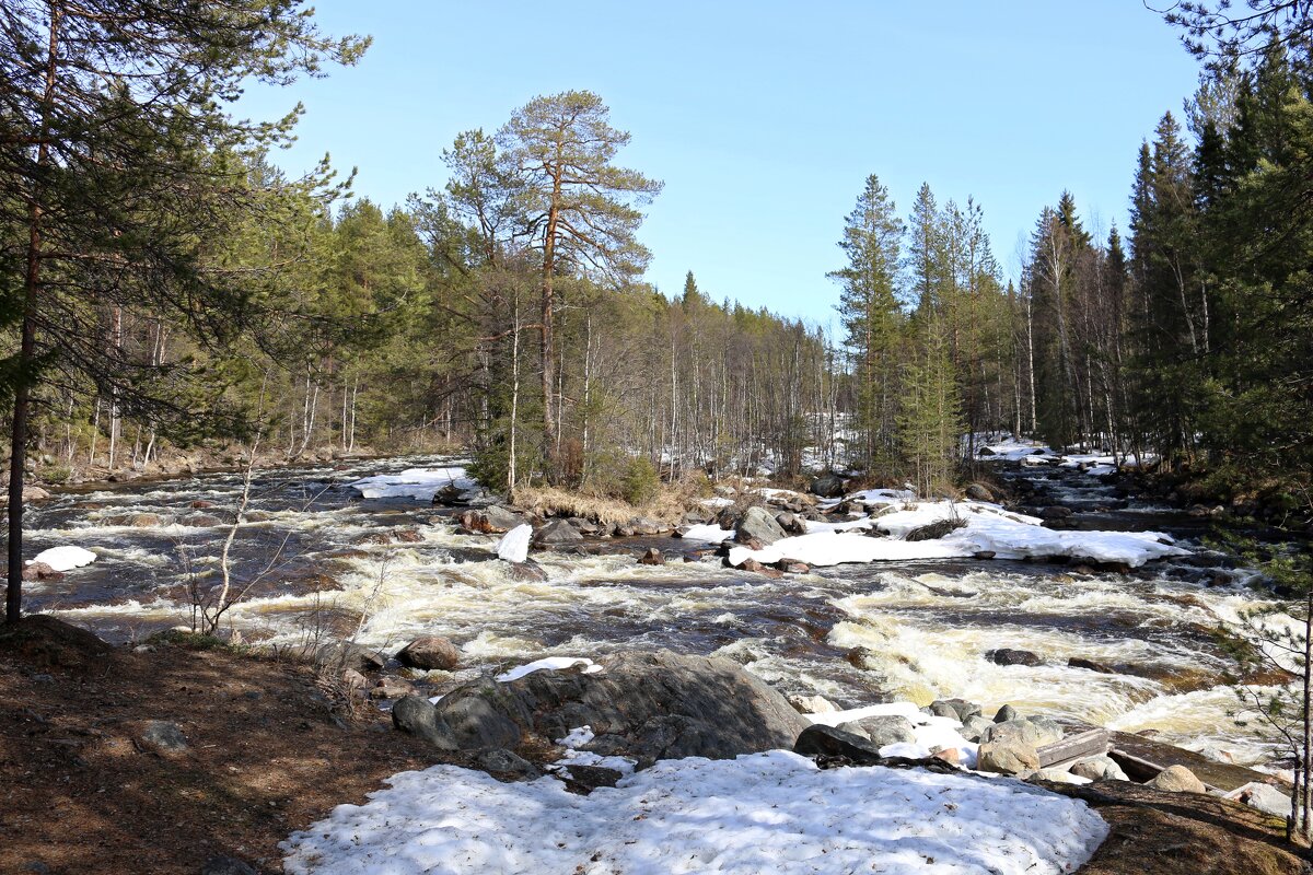 Быстрая Колвица - Ольга 