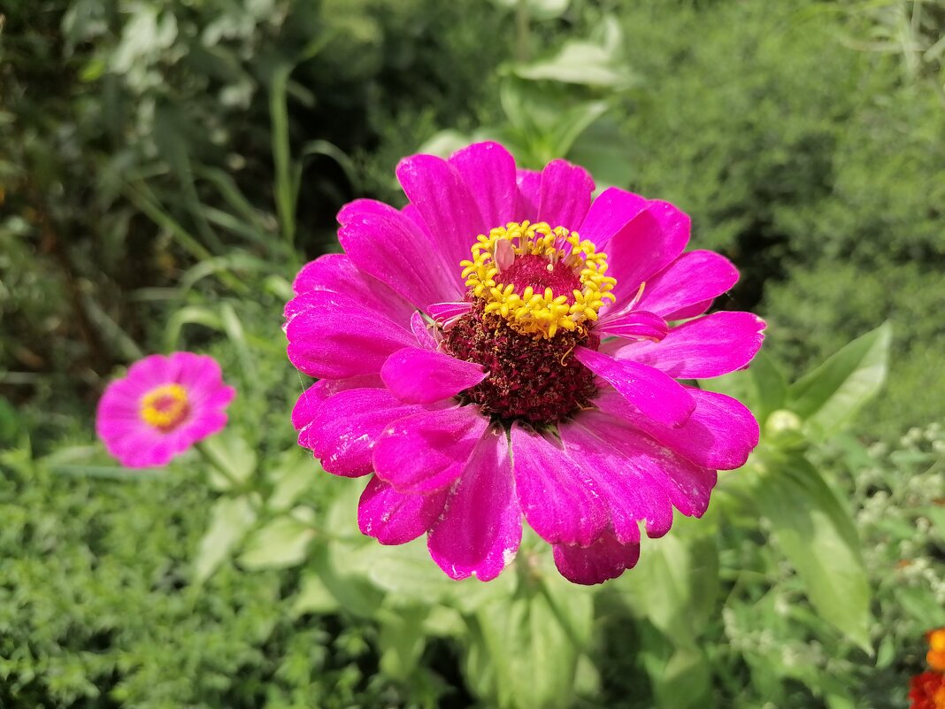 ,,, - Сергей Тимоновский ,,, - Сергей Тимоновский