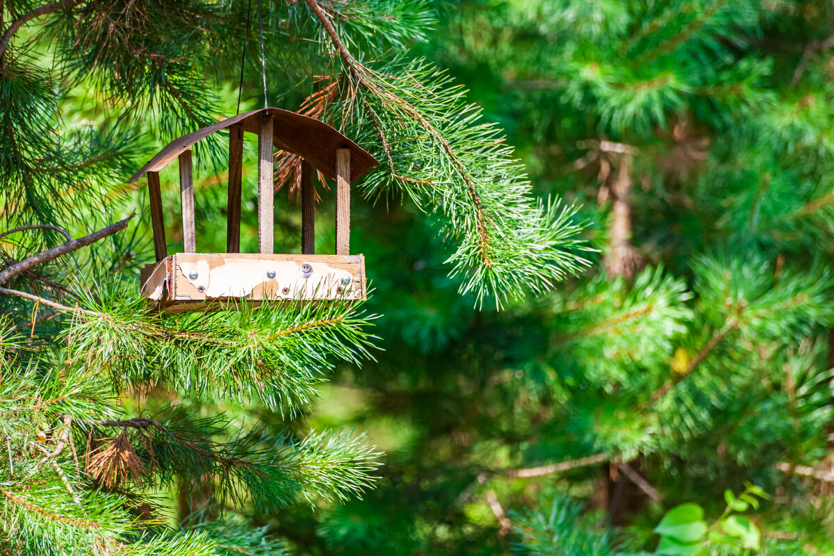 Кормушка - Олег Подлесных