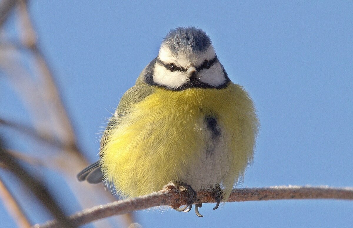 ... - Вячеслав Минаев