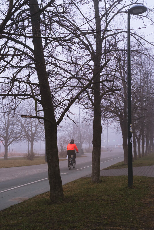 Утро. Туман. Велосипедист - Dar(k) Life
