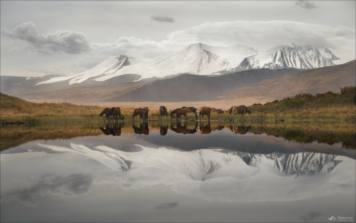 Зона покоя - Влад Соколовский