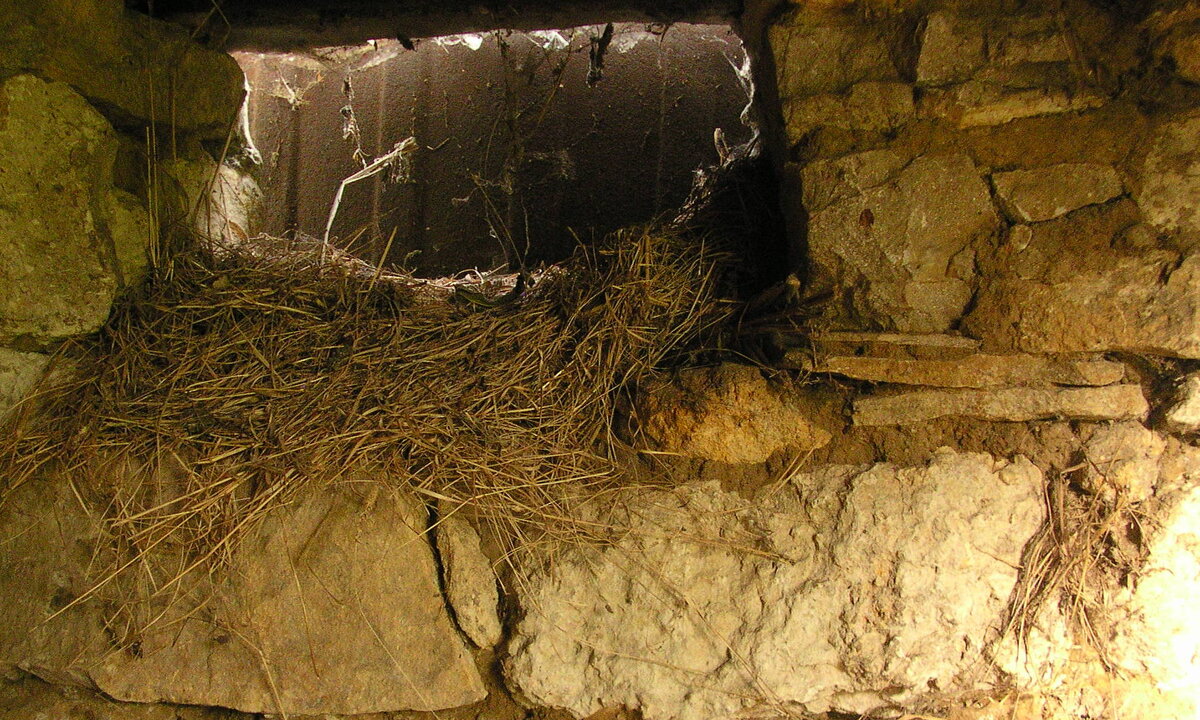 . - Елена Минина