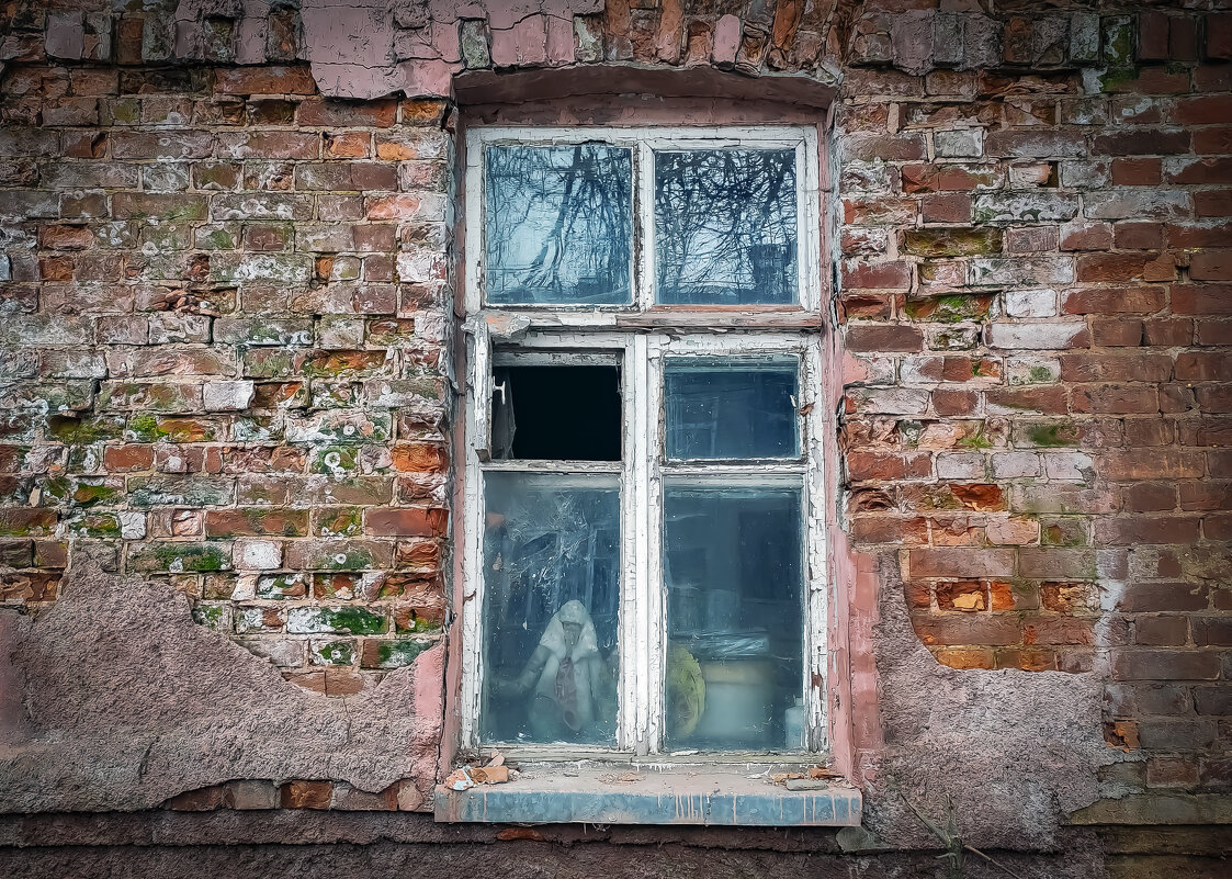 А из нашего окна - Дмитрий Иванов