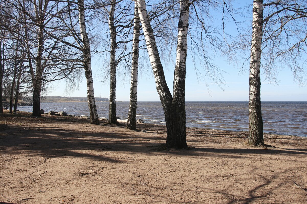 Петергоф. Финский залив - Наталья Герасимова