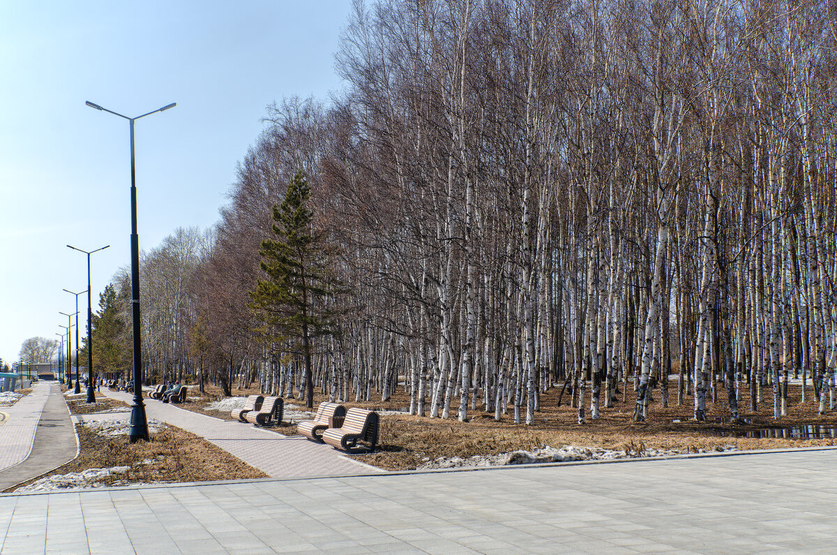 А вот и весна пришла - Виктор Иванович Чернюк