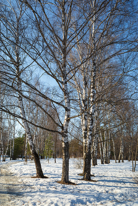 Весна - Александр Синдерёв