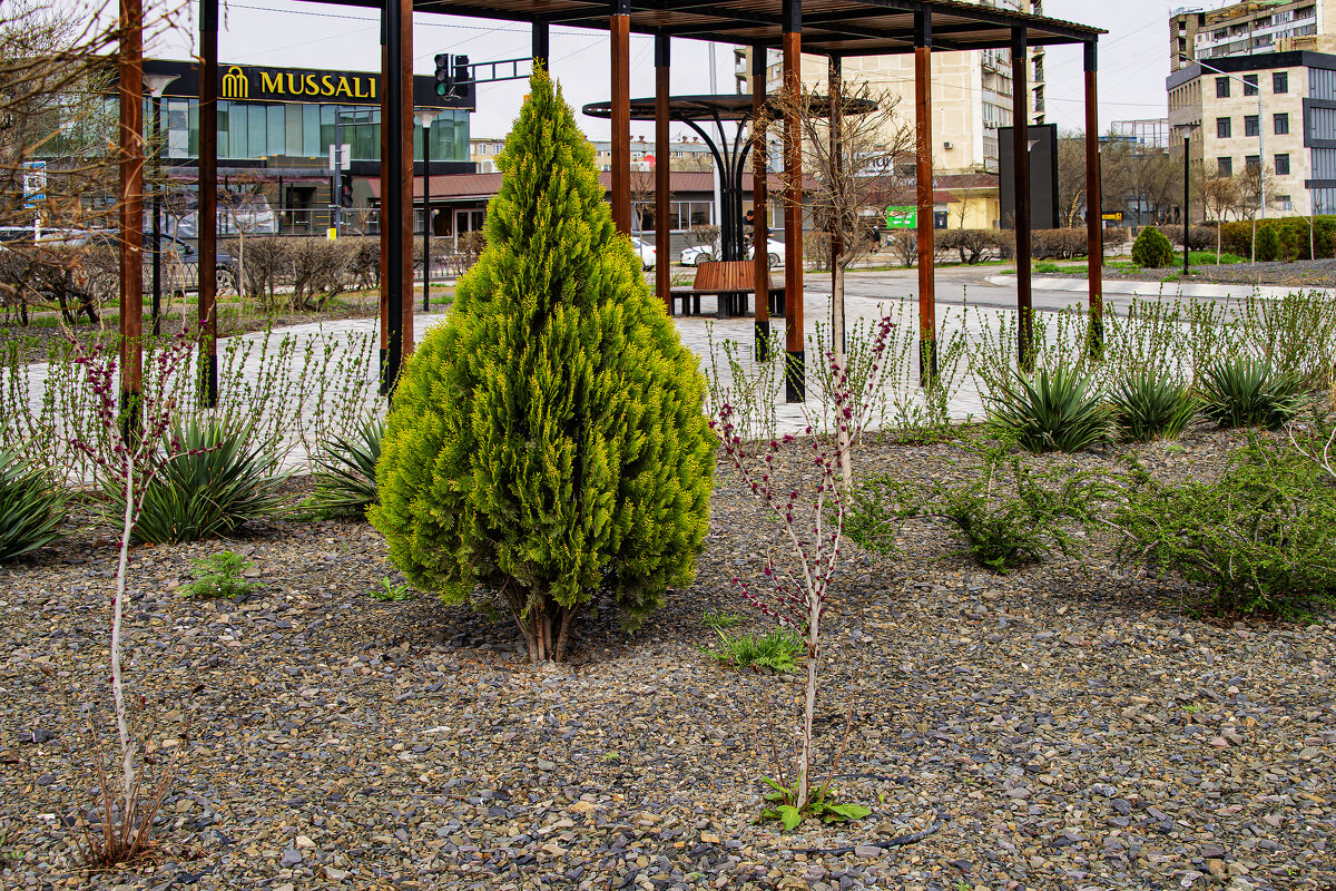 Актау - Анатолий Чикчирный