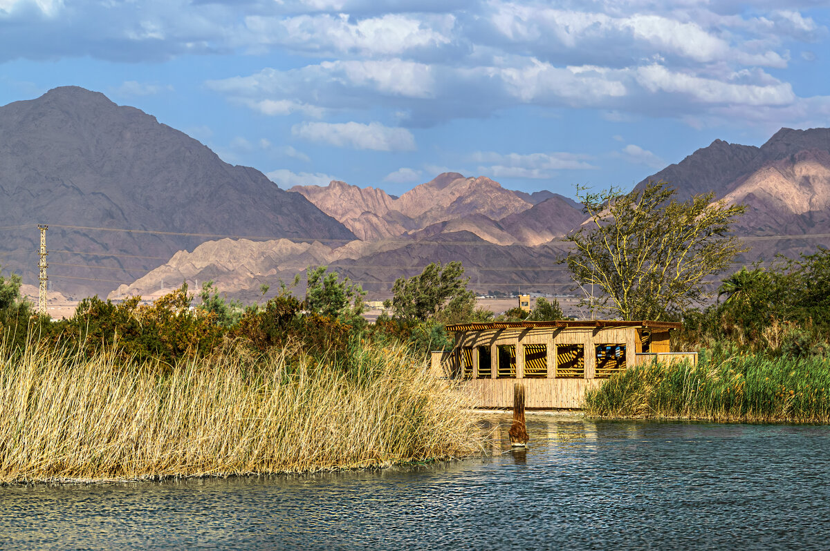 Укрытие - Eugene * Укрытие - Eugene *