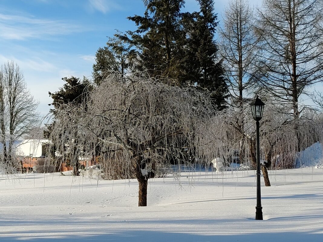 Территория Площанской пустыни - Елена Сухорученкова