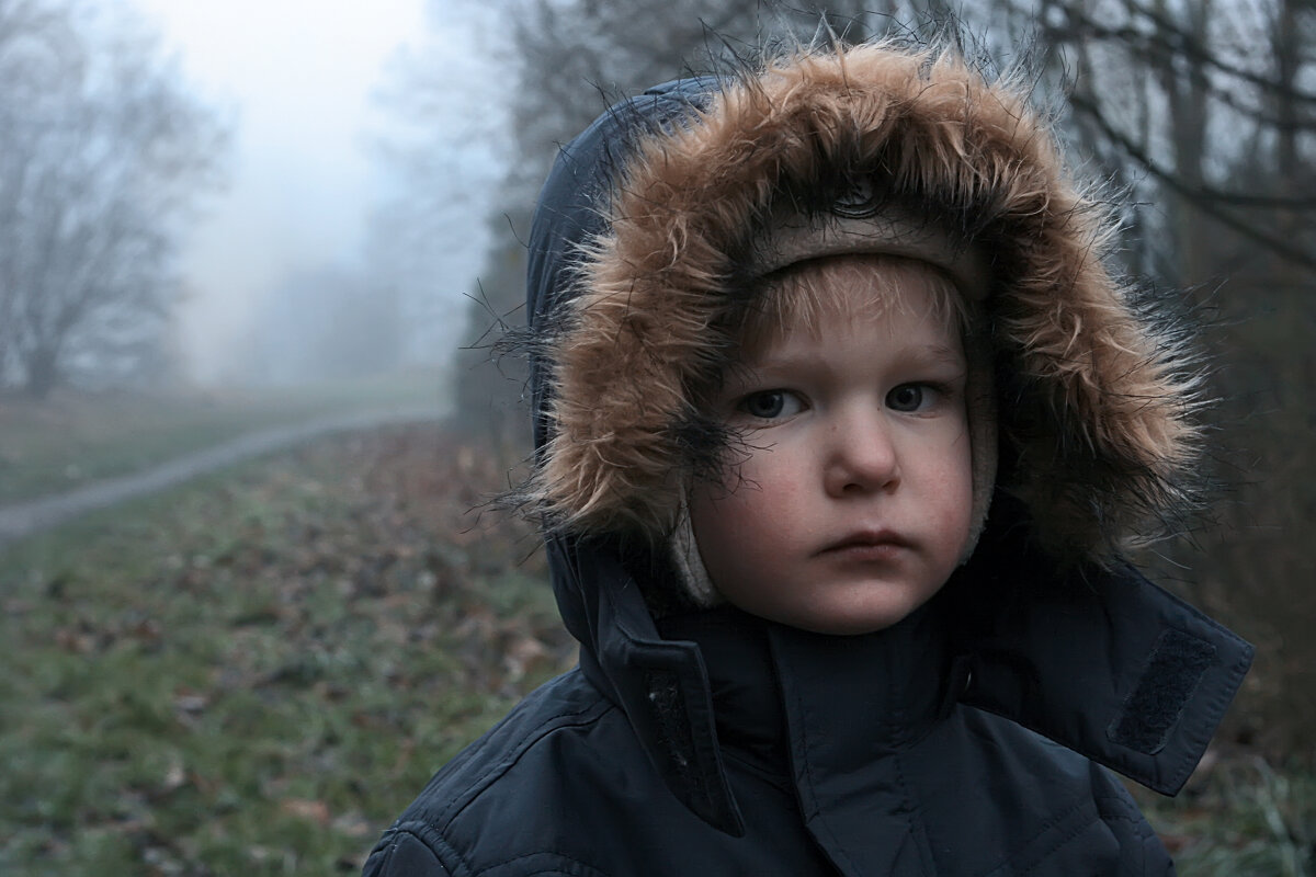 Холодная туманная осень - Valziwa 