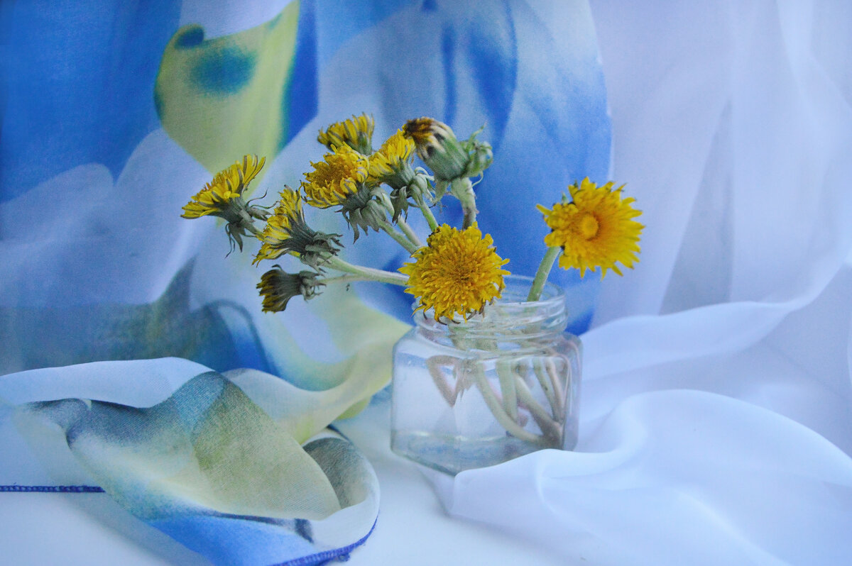 "...Вечерний сон..." Задремали на исходе дня... - Надежда Куркина "...Вечерний сон..." Задремали на исходе дня... - Надежда Куркина