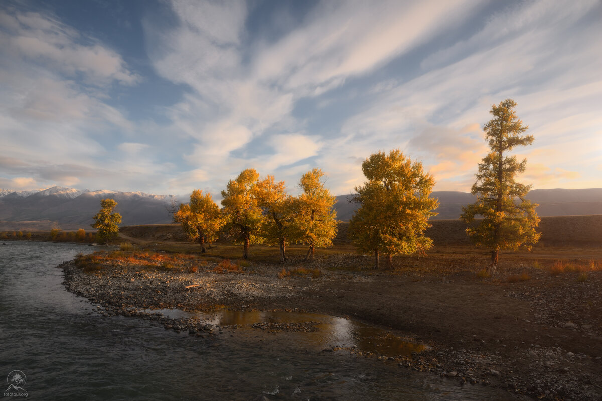 На Чуе - Анатолий Гордиенко